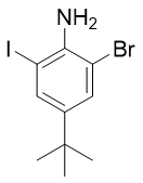2-溴-4-叔丁基-6-碘苯胺